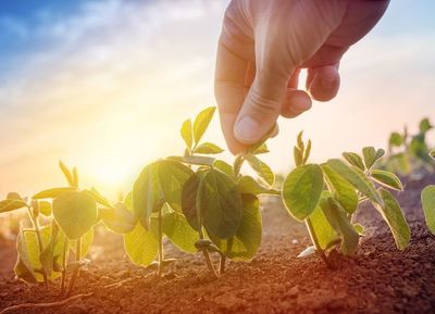 Las perspectivas climáticas son alentadoras para la producción