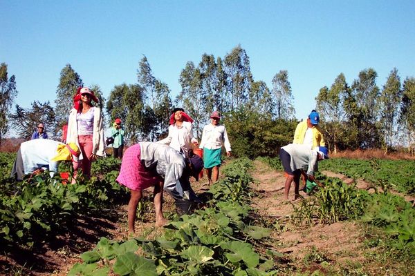 Día de la Mujer Rural: Acceso a educación, salud y economía sigue siendo el principal reclamo