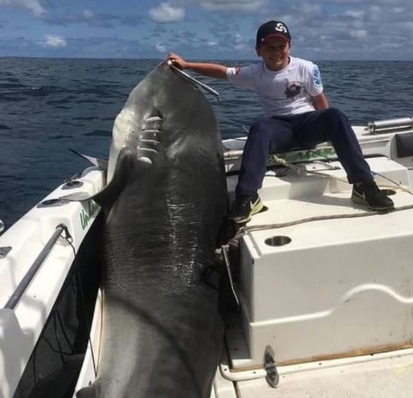 Jayden, el niño de 8 años que capturó a un tiburón de 314 kg » Ñanduti