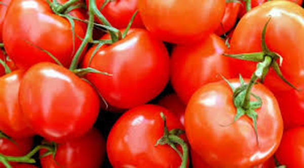 PRODUCTORES DE TOMATE CIERRAN RUTA TRAS EL INGRESO MASIVO DE PRODUCTOS DE CONTRABANDO EN EL PAÍS