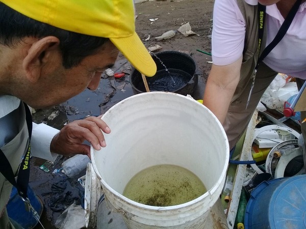 Ante una alerta de epidemia de dengue, instan a eliminar criaderos