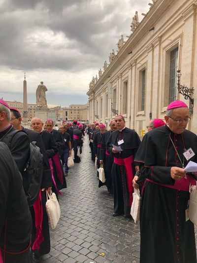 Monseñor Edmundo Valenzuela será miembro de la Comisión de Redacción del Sínodo Panamazónico - Nacionales - ABC Color