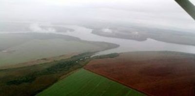 Los bosques pueden preservarse pese a desarrollo agrario, dice la FAO