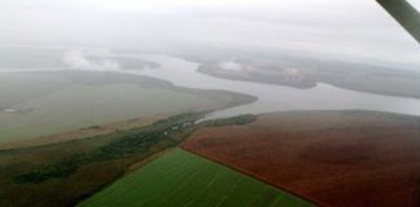 Los bosques pueden preservarse pese a desarrollo agrario, dice la FAO