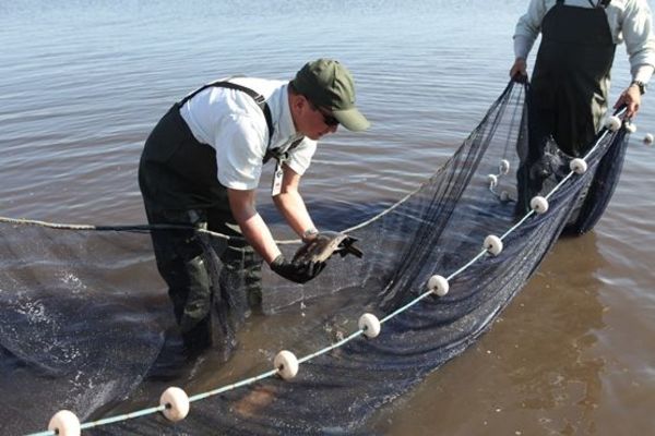 Intensifican acciones para recuperar el lago Ypacaraí