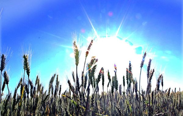 Metereología anuncia mañanas frescas y tardes cálidas