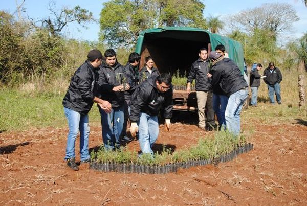 Yacyretá entregó 10 mil plantines de burrito a pequeños productores