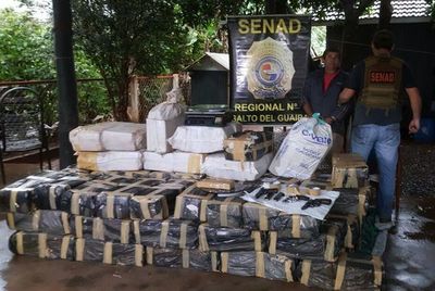 Decomisan gran cantidad de marihuana