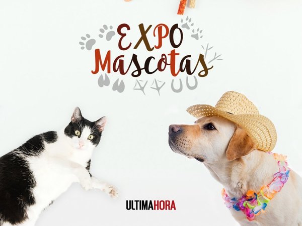 Todo listo para la Expo Mascotas de Última Hora