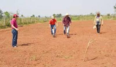Anuncian pronóstico alentador para sector de la producción - .::RADIO NACIONAL::.