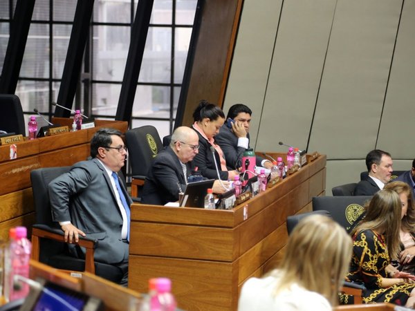 Media sanción para bicameral sobre corrupción en el Indert