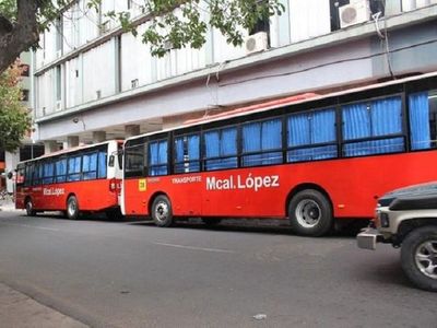 Nuevos buses entrarán en circulación