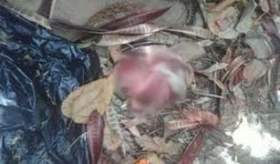 Vecinos hallan feto en barrio San Pablo