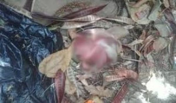 Vecinos hallan feto en barrio San Pablo