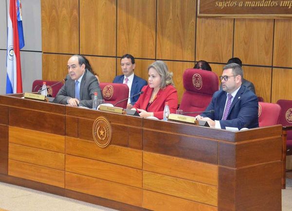 Legisladores cuestionan trato dado al caso de Arrom, Martí y Colmán