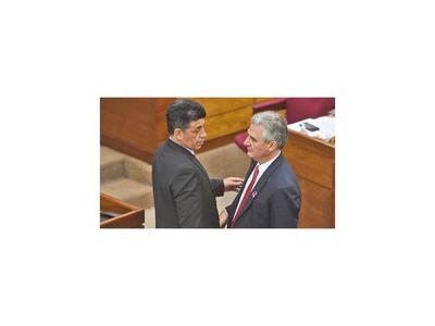 Por “intenso lobby”, piden postergar ley de adopciones