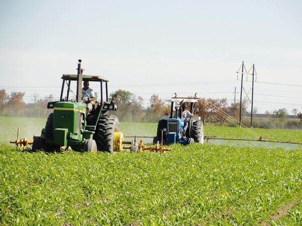 Las lluvias generan "suspiro optimista" en el sector productivo » Ñanduti