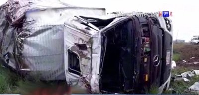 Animal suelto sobre la ruta ocasiona grave percance | Noticias Paraguay