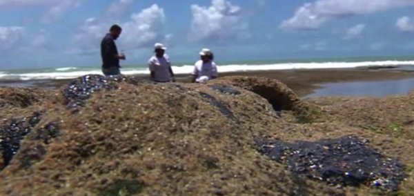 Cuidado si vas a las playas de este estado de Brasil | Noticias Paraguay