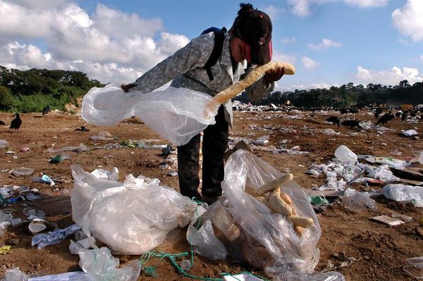 Ocho razones por las que las crisis alimentarias se resisten a desaparecer - Mundo - ABC Color