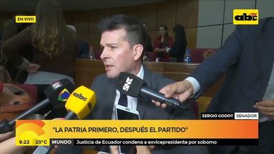 Acuerdo Itaipú: “El actor principal es el presidente de la República”, según senador Godoy - A La Gran 7-30 - ABC Color