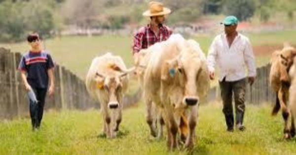 15 millones de dólares serán destinados para censo agropecuario