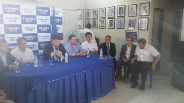 Voto obligatorio y electrónico forma parte de la reforma electoral impulsado por el PLRA