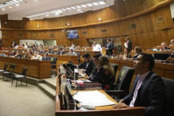 Diputados concuerdan con el Poder Ejecutivo en eliminar elecciones al Parlasur