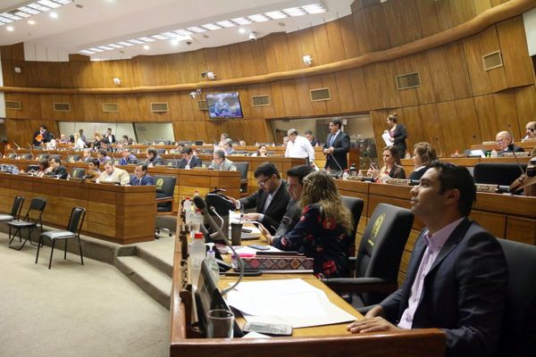 Plantean eliminar sueldazos en la función pública y destinar a becas