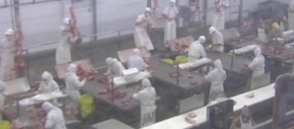 Paraguay podría vender carne vacuna a China Continental | Noticias Paraguay