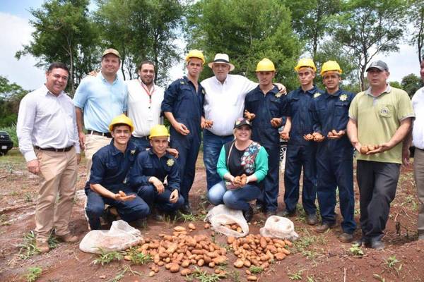 LA GOBERNACIÓN Y EL MINISTERIO DE AGRICULTURA IMPULSAN LA PRODUCCIÓN DE PAPA EN VARIOS DISTRITOS DEL DEPARTAMENTO.