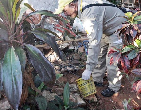 Paraguay en alerta ante aumento de casos de dengue en la región » Ñanduti