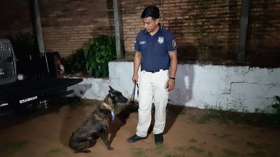 Ex diplomático detenido con droga pretendía llegar a Clorinda