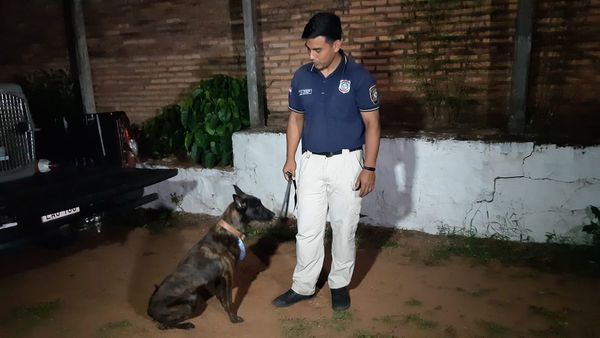 Ex diplomático detenido con droga pretendía llegar a Clorinda