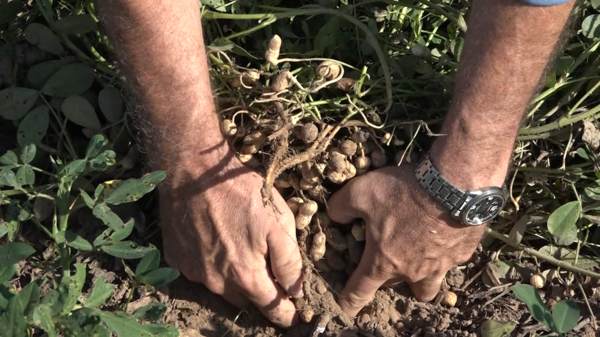 “La única forma de pasar de la pobreza a una vida digna, es con trabajo”