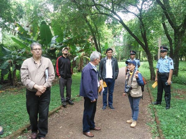 Proponen convertir en “bosque urbano” las últimas reservas naturales de Encarnación - Nacionales - ABC Color