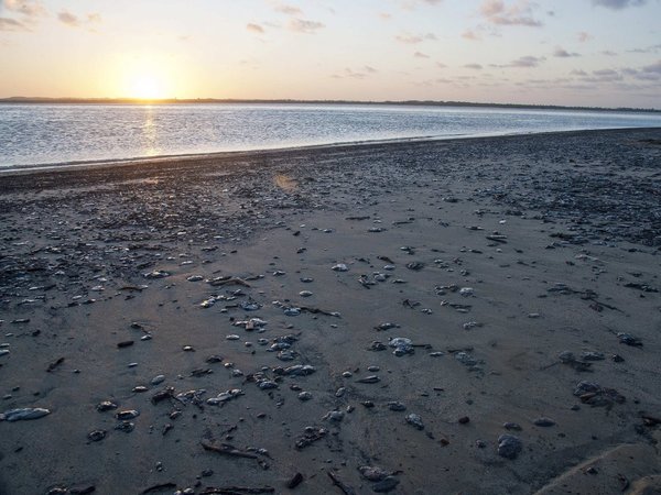 El petróleo mancha las paradisiacas playas de Brasil