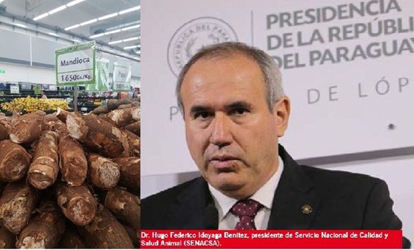 "Mandiocas de oro" en Senacsa