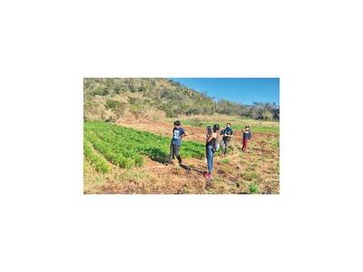 Proyecto de procesamiento de hierbas  gana concurso