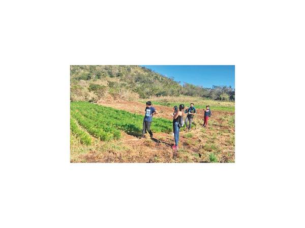 Proyecto de procesamiento de hierbas gana concurso