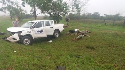 2 muertos en colisión con vehículo del BNF