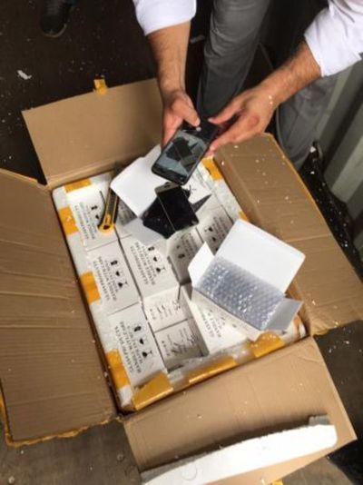 Incautan mercadería presuntamente falsificada por un valor de 500 mil dólares