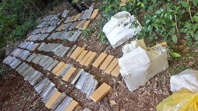 Fiscalía incautó 351 kilos de marihuana