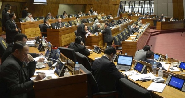 Proyecto que busca reestructurar deudas a particulares y estatales se estudia en diputados