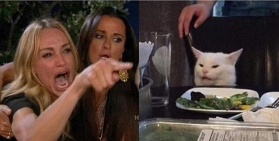 El origen y desopilantes memes de la mujer gritando y el gato