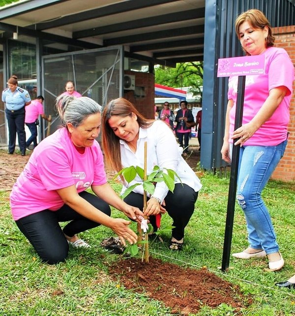 Conmemoran el Día Mundial de la Lucha contra el Cáncer de Mama con plantación de arbolitos | .::Agencia IP::.