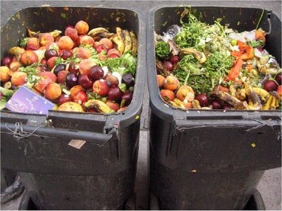 Aumenta el hambre y América tira millones de toneladas de alimentos