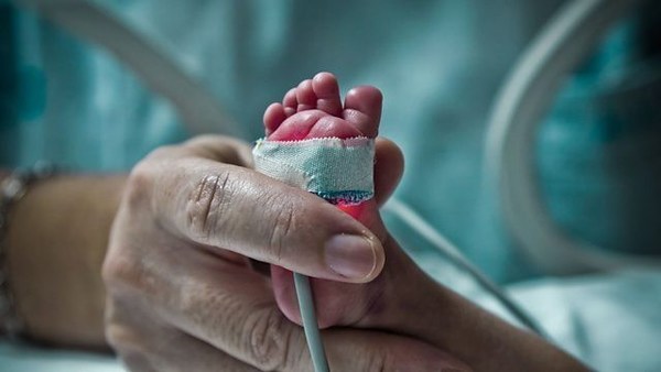 Holanda: El primer útero artificial permitirá "renacer" a los bebés - ADN Paraguayo