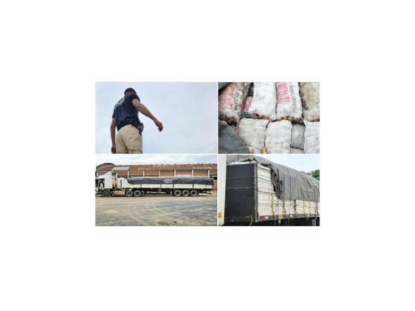 Detienen carga ilegal de 35 toneladas de frutihortícolas