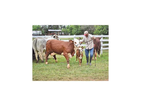 En Expo Guairá, ganaderos venden por USD 600.000